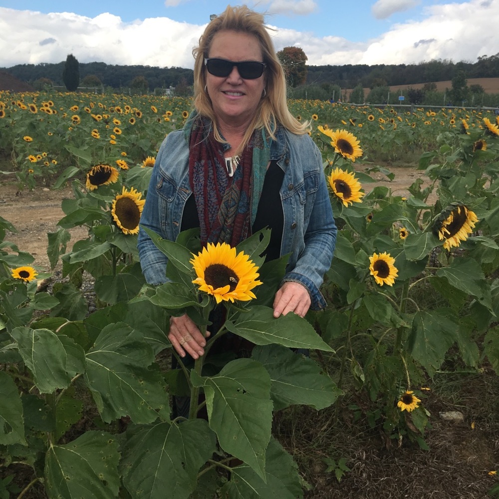 Meet your Posher, Laurie